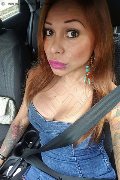 Rimini Trans Escort Alessandra Toledo Pornostar 339 67 43 933 foto selfie 220
