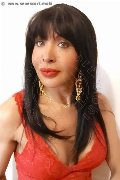 Foto Tain� Oliveira Annunci Trans Prato 3285382487 - 52
