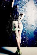 Foto Ts Amina Orient Xl Annunci Transescort Pforzheim 00491799787085 - 8