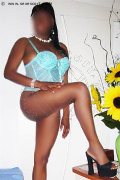 Foto Waikiki Annunci Escort Ferrara 3512849979 - 16